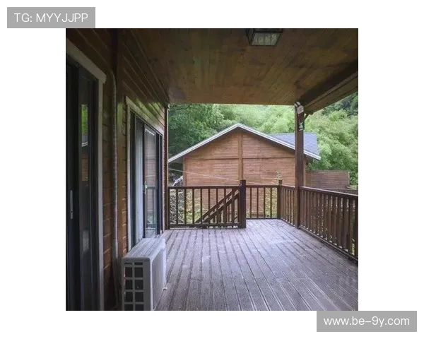 全面解析足球运动的官方全称及其历史背景探秘深入全面解读之旅程