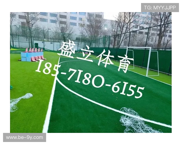 最新风光足球场建设费用及价格详细解析2025年